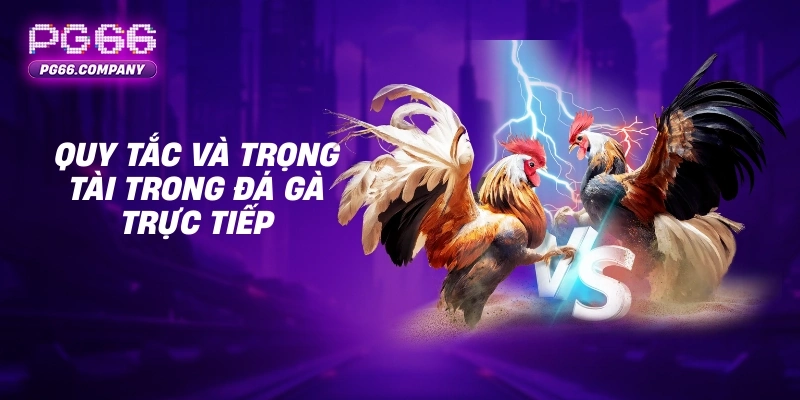 Đá gà trực tiếp tại PG66 với kèo cược đa dạng và minh bạch 2 Quy tắc và trọng tài trong đá gà trực tiếp