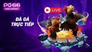 Đá gà trực tiếp – Xem và cược kèo đá gà đỉnh cao