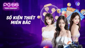 Xổ số kiến thiết miền Bắc – Tra cứu kết quả XSMB hôm nay